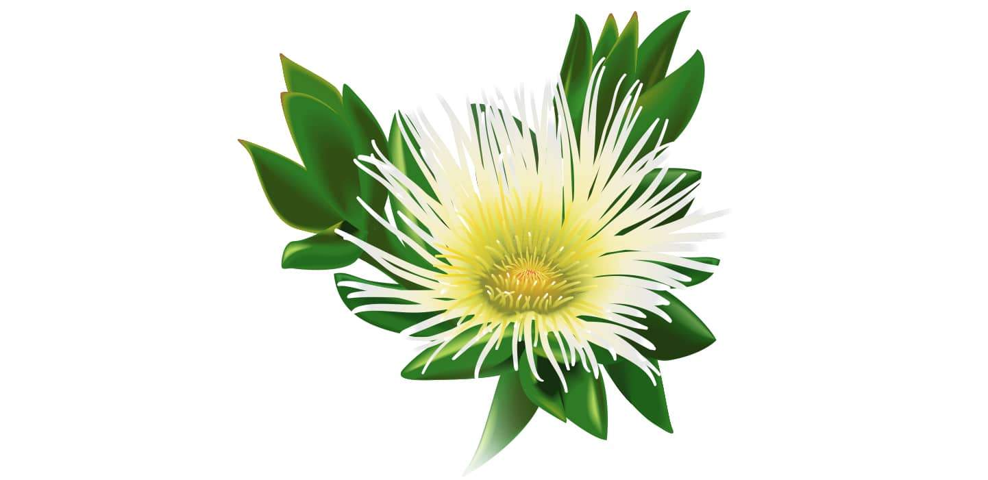 artificial realistic plants Artificial Plant, 20" Tall, Zz, Indoor, Faux, Fake, Table, Greenery, P